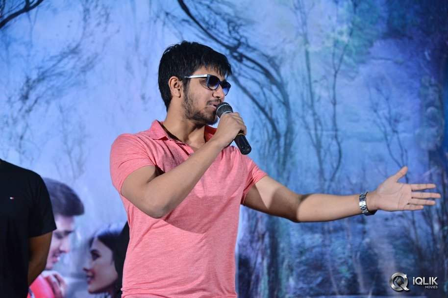 Ekkadiki-Pothavu-Chinnavada-Movie-Thanks-Meet